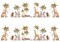 African Animals Edible Image cake border 2 Strips per sheet 3.5x10.5 inchs